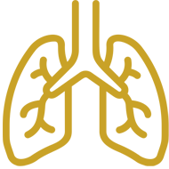 Respiratory
